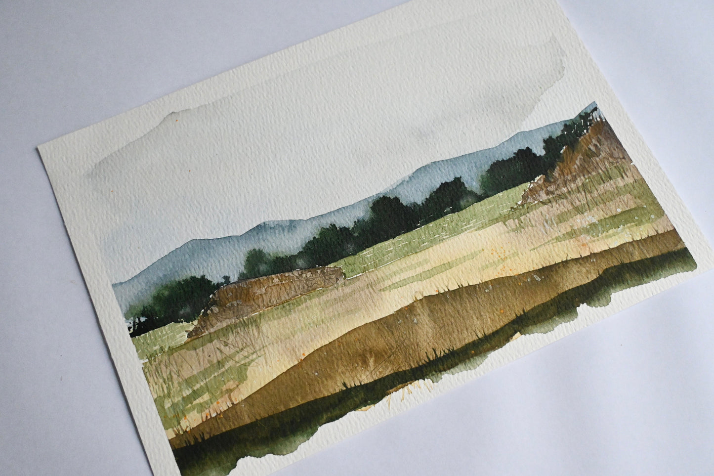 Original Painting - Dune walks