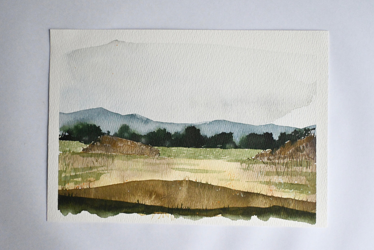 Original Painting - Dune walks